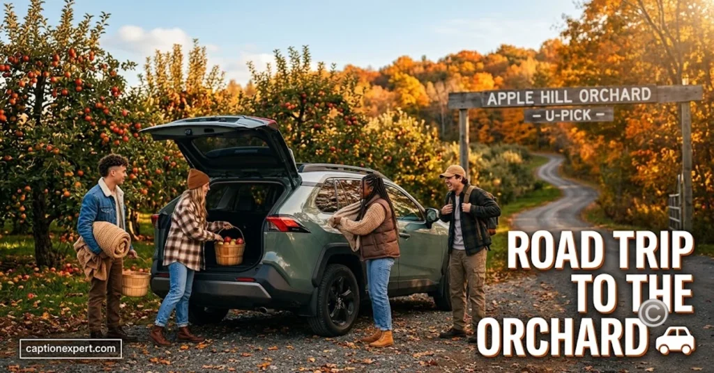 Road Trip to the Orchard
