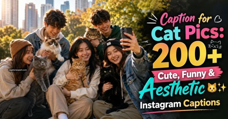 caption for cat pics